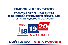 Выборы депутатов 